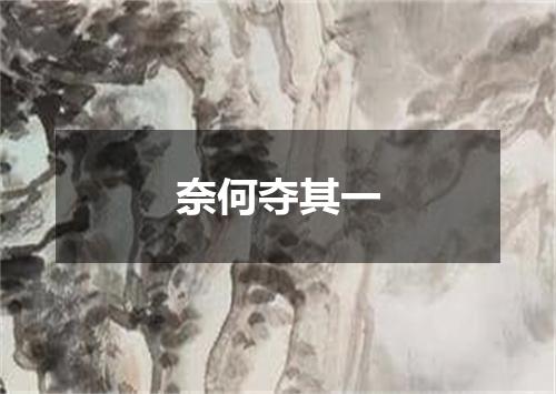 奈何夺其一