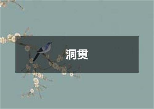 洞贯