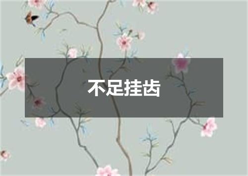 不足挂齿