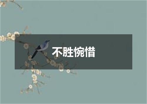 不胜惋惜