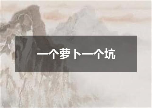 一个萝卜一个坑
