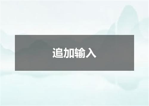 追加输入