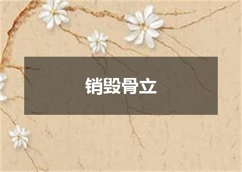 销毁骨立
