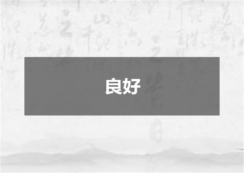 良好