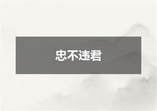 忠不违君