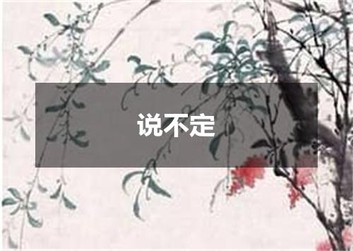 说不定