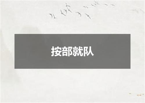 按部就队