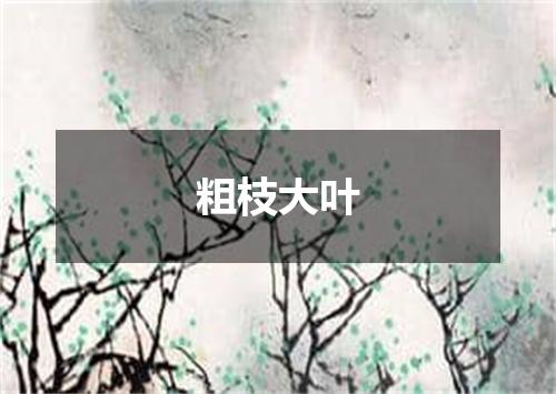 粗枝大叶