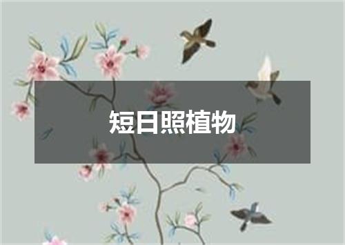 短日照植物