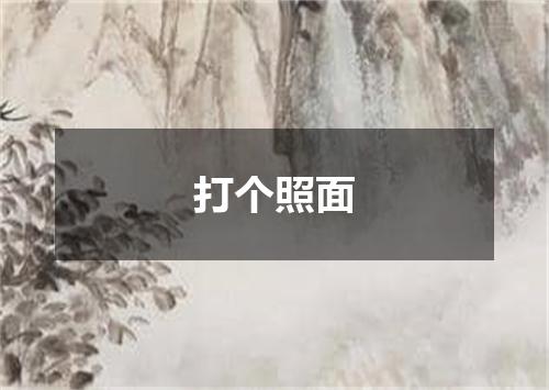 打个照面