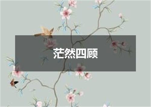 茫然四顾