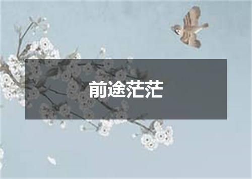 前途茫茫