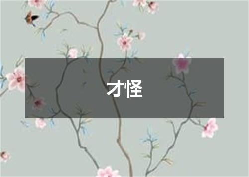 才怪