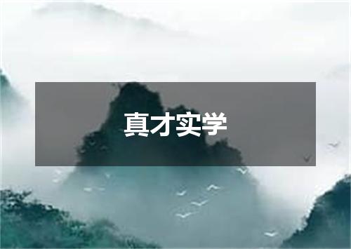 真才实学