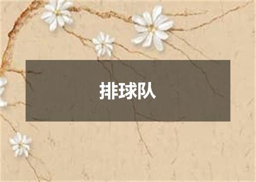 排球队