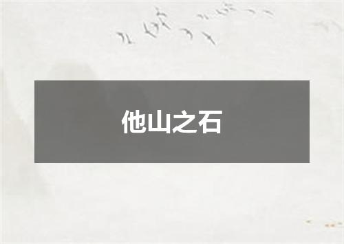 他山之石