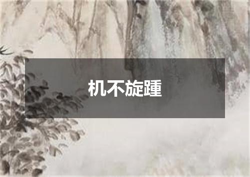 机不旋踵
