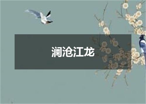 澜沧江龙
