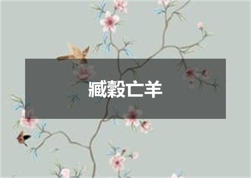臧穀亡羊
