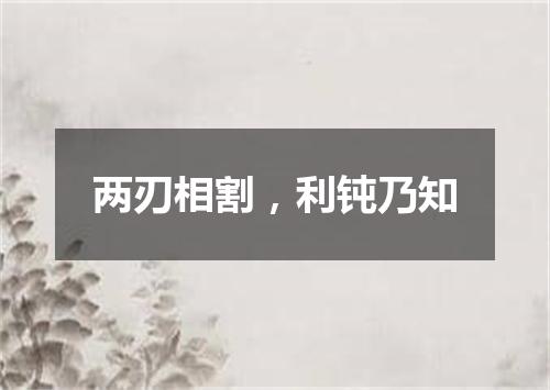 两刃相割，利钝乃知