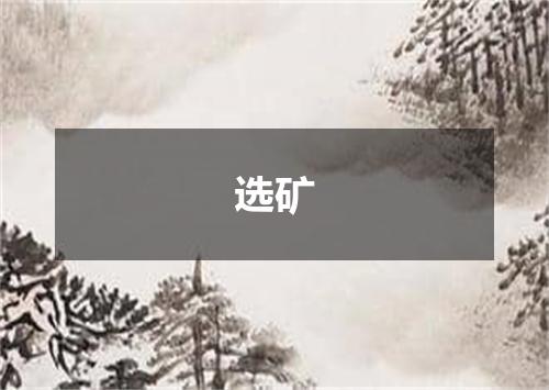 选矿