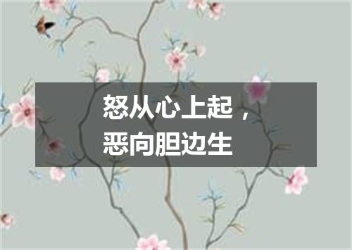 怒从心上起，恶向胆边生