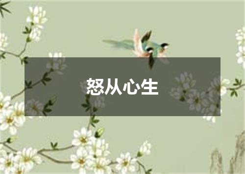 怒从心生