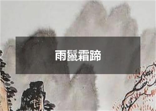 雨鬣霜蹄