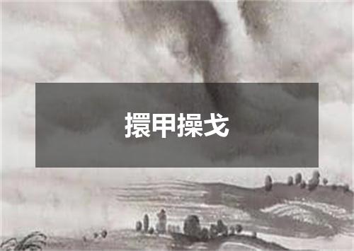 擐甲操戈