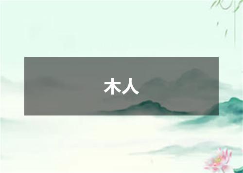 木人