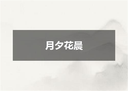 月夕花晨