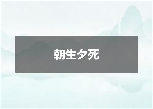 朝生夕死