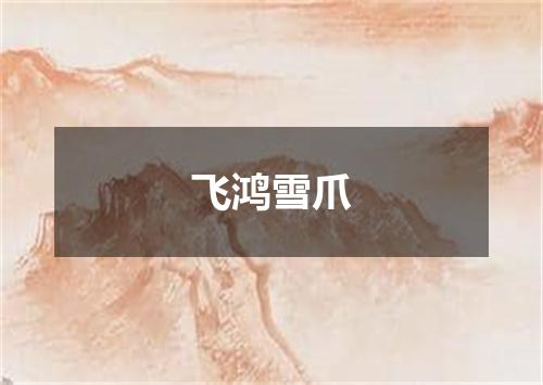 飞鸿雪爪