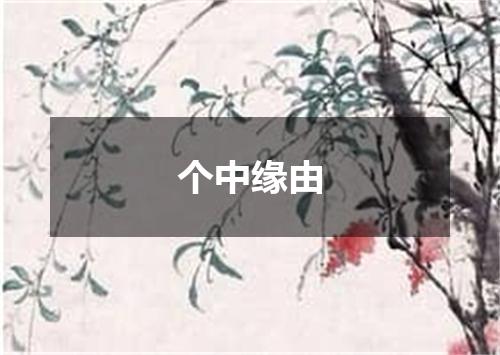 个中缘由