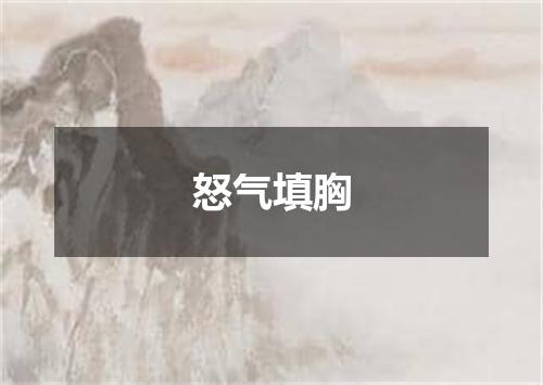 怒气填胸