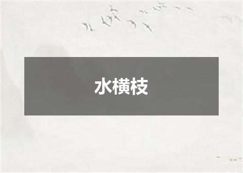 水横枝