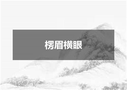 楞眉横眼