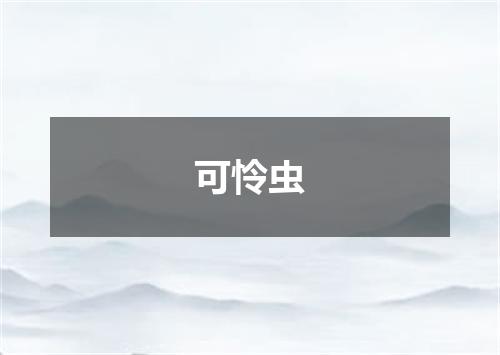 可怜虫