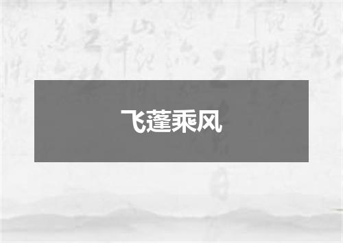 飞蓬乘风