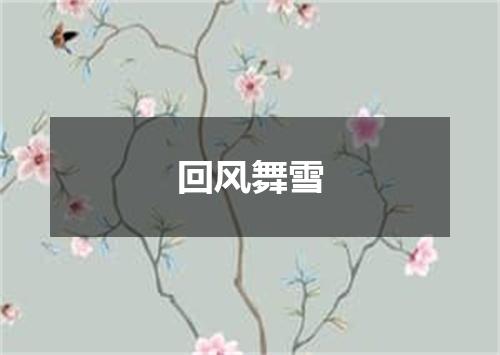 回风舞雪