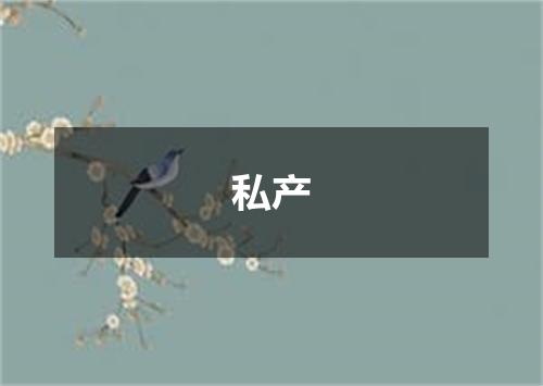 私产