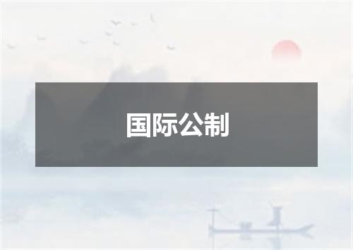 国际公制