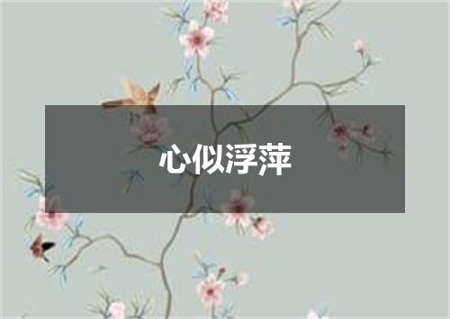 心似浮萍