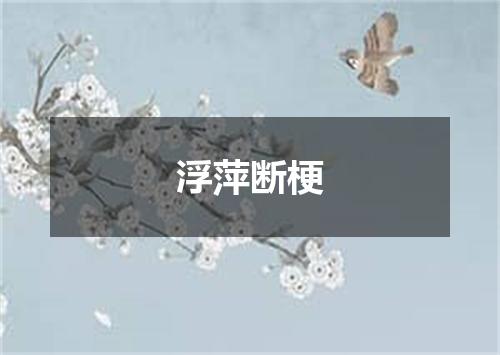 浮萍断梗