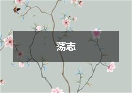 荡志