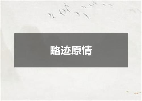 略迹原情