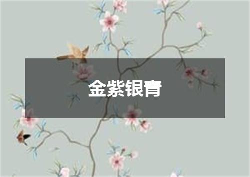 金紫银青