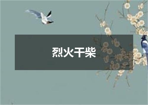 烈火干柴