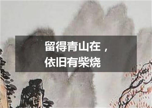 留得青山在，依旧有柴烧