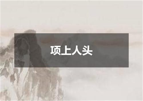 项上人头